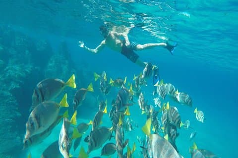 Tour della fine della terra e dello snorkeling in una barca con fondo di vetro
