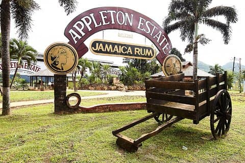 YS Falls och Appleton Rum Tour Adventure Tour från Montego Bay