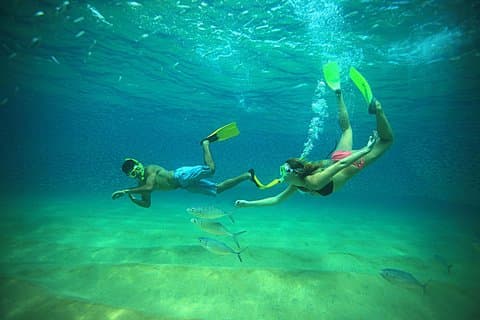 Beach Hopper 2 - Sluta snorkla i Los Cabos