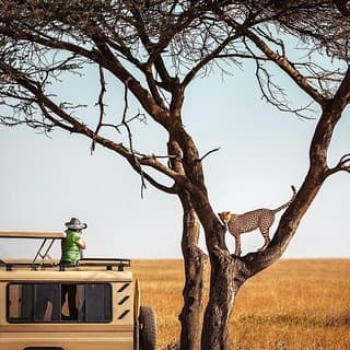 2-Day and 1 night Ngorongoro and Lake Manyara Tours