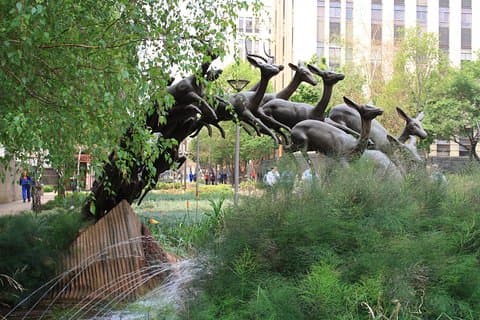 LocalPlaces Understanding Johannesburg Walking Tour