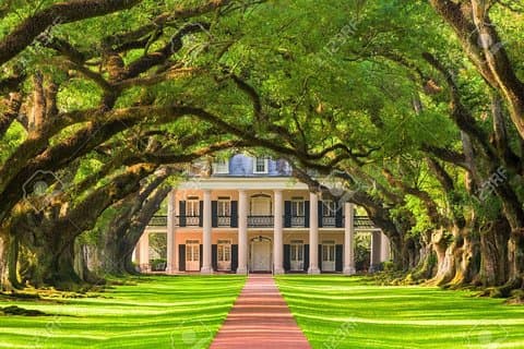 Oak Alley Plantation og Airboat Combo Tour med buss
