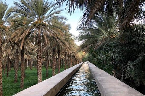 Paseos auténticos por Old Nizwa