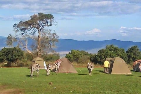 Safari econômico de 3 dias na Tanzânia
