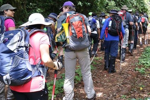 1 Tag Kilimanjaro Wanderung Machame Route