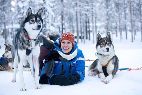 Lapland: Rendier- en huskysafari vanuit Rovaniemi