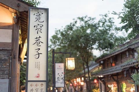 Beste ausgewählte Chengdu-Stadtrundfahrt
