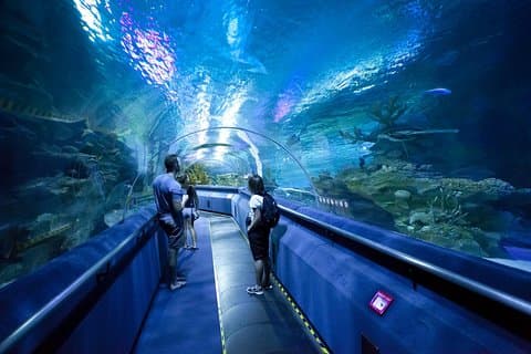 Inngangsbillett til Pattaya Underwater World
