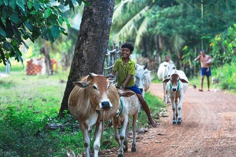 Lifestyle Tour with Homestay - 2 Days 1 Night