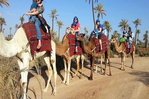1 hora CAMELS RIDE palmeraie (casa road) min 2 pers-Private
