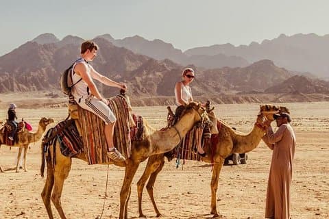 Hurghada: safári de jipe, passeio de camelo e passeio pela vila beduína