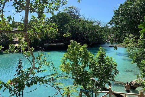Port Vila Full Day Tour - Ervaar de Real Vanuatu