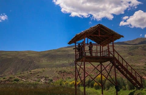 Birdwatching nella zona umida Huacarpay a Cusco