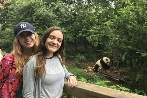 Chengdu Discovery: Panda Base en Giant Buddha Day Trip