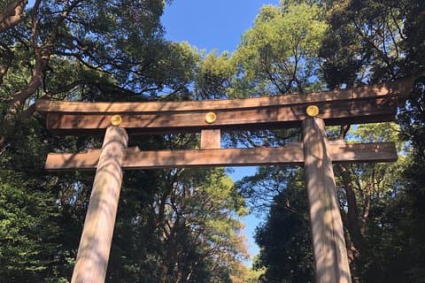 Tour privato personalizzato di mezza giornata a Tokyo