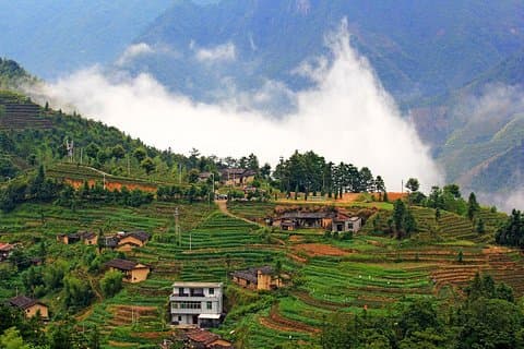 Private One Day Anxi Bama Tea Garden e Hong'en Rock Tour da Xiamen