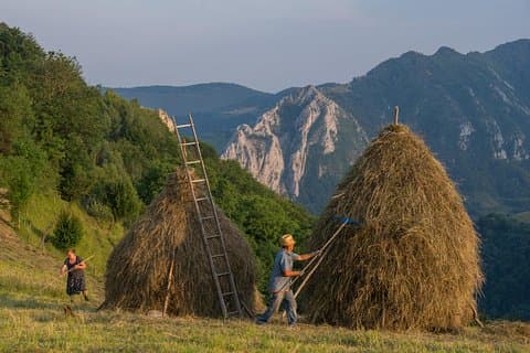 Expérience locale de Brasov - villages de Transylvanie et château de Bran