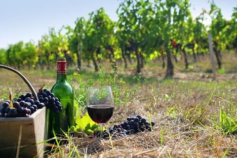 Excursão cultural de 9 horas em Atenas e excursão em terra Nemea Wine Tour