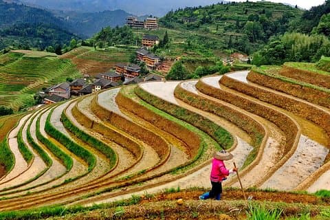 Longji Rice Terraces Day Tour with the Ping'an and Dazhai Village