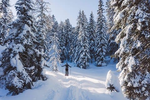 Snowshoeing em Cortina d'Ampezzo