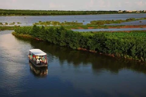 Guangzhou Seashore Beach en Wild Bird Wetland Park Privétour