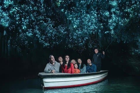 Tour privato delle grotte di Waitomo da Auckland