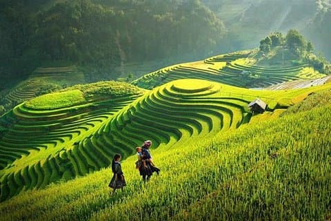 Sapa Trekking Tour 2 dagar 1 natt med buss