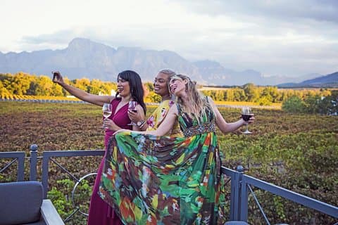 Constantia Winelands privat vintur från Kapstaden