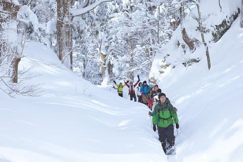 Snowshoe Tour