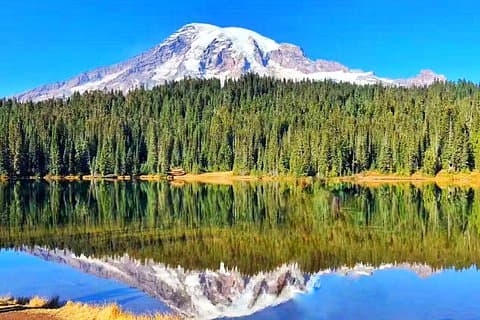 Mt Rainier National Park Small Group Tour from Seattle W/ Lunch