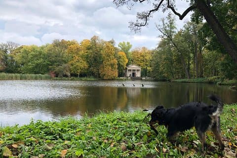 Afueras de Varsovia: recorrido de 6 horas con un historiador local