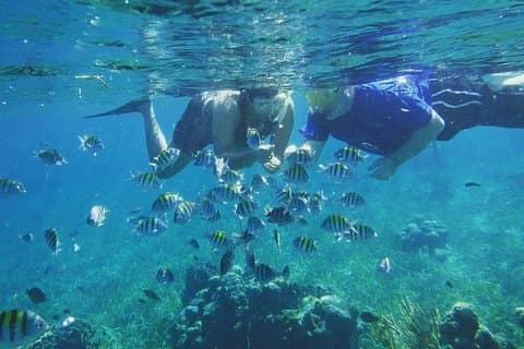 Roatan 2 Stop Snorkeling and City Tour