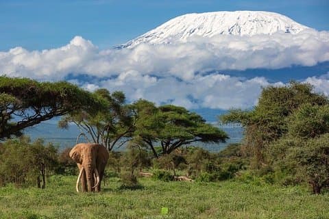 3 dage Amboseli National Park