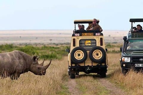 Parque Nacional de Nairóbi, centro de girafas e fábrica de miçangas excursão guiada de um dia