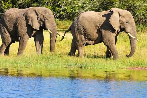 2 Days in Akagera National Park