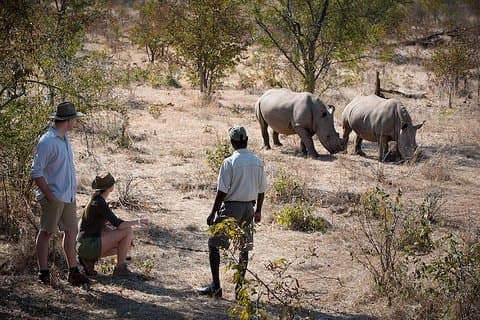Private Rhino Walking Safari Experience from Livingstone