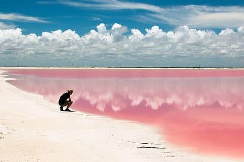 Giornata dell'Avvento: Escursione a Coloradas e Rio Lagartos da Cancun!