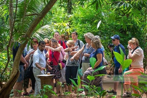 Excursão Terrestre em Grupo Jardim das Especiarias e Fábrica de Chá