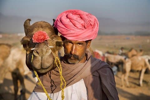 Enveisoverføring fra Jaipur til Pushkar i AC-kjøretøy med lunsj