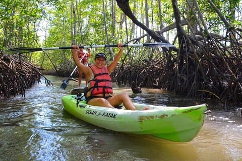 Aventure en kayak (ou en bateau) dans la mangrove