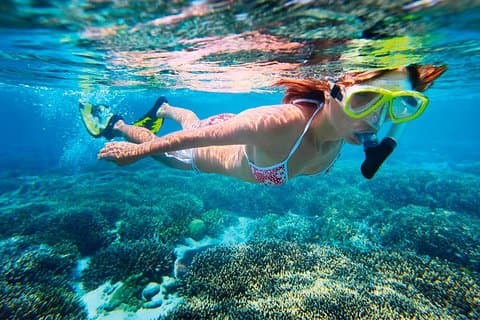 Grundlæggende snorkeloplevelse i Cancun med transport