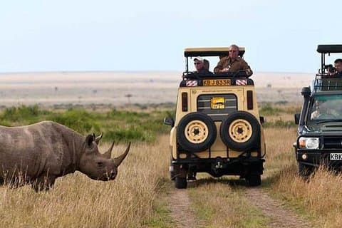 Beste 7 Tage Kenia Adventure Wildlife Safari