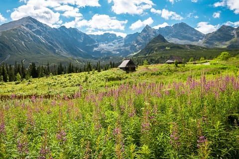 Zakopane e montanhas Tatra - excursão diária de Cracóvia