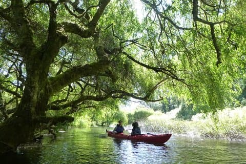 Kajakk Laguna La Poza 1/2 dag