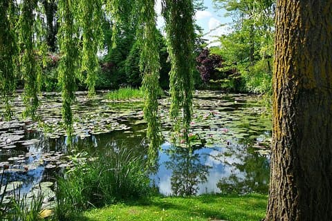 Excursão privada: um dia de viagem de Bayeux a Rouen e Giverny