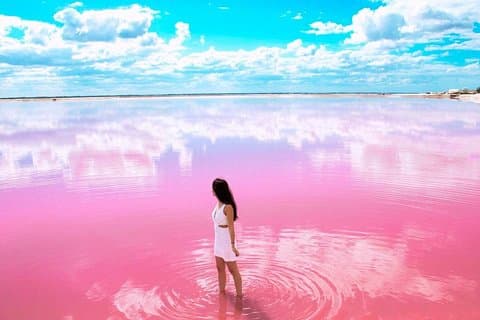 Tour Las Coloradas & Rio Lagartos nur von Tulum aus