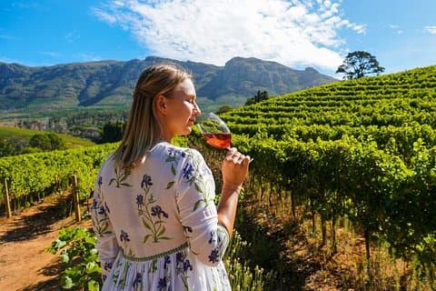 Wine Tour in Azerbaijan