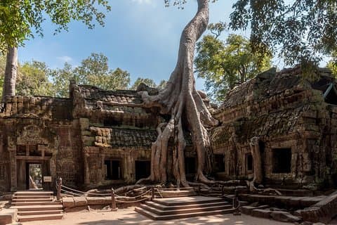 Explore Angkor Wat e Ta Phrom em profundidade