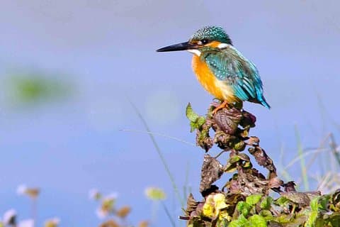 Pacchetto tour avventura di lusso Il meglio del Nepal - 9 giorni