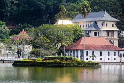 Kandy Day Tour fra Colombo eller Negombo med privat bil eller varevogn med chauffør